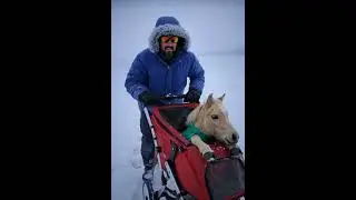 He need help, and I was there  #wildlife #animals