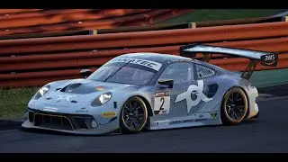 Assetto Corsa Competizione: BIG MISTAKE! / LFM Coach Dave Sprint@ Silverstone/ Porsche GT3R /W SETUP
