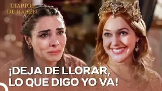 Aqu&iacute; Gana Quien Rompe Las Reglas | Diarios De Har&eacute;n