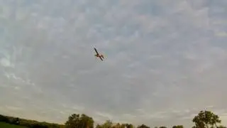 e-Flite UMX J-3 Piper Cub summer morning sessions