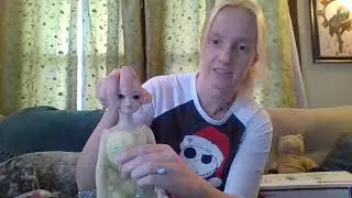 Tonner Ellowyne Wilde Box Opening
