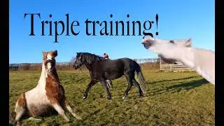 TRIPLE TRAINING!!