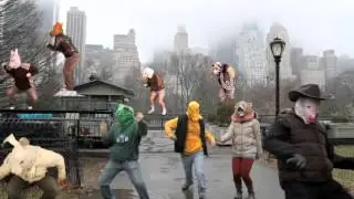 Harlem Shake (Animals In Central Park Edition)