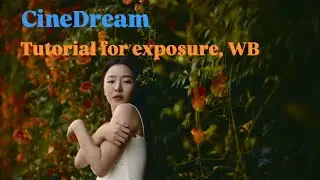 Basic Color Grading with CineDream | Easy Exposure & White Balance Tutorial for Beginners : part1