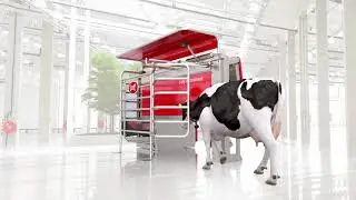 Lely, robot di mungitura Astronaut A5