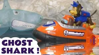 Zuma and Chase Ghost Shark Story