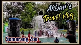 Semarang Zoo ada Rafi Ahmad - My Vlog  ||  Dream Hunter Junior