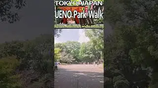 🇯🇵 Прогулка по парку Уэно: природа, святилище Тории ⛩️ и подношение свечей | с французским путеше...