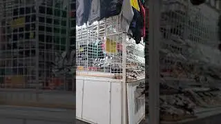 the flea market, stockton