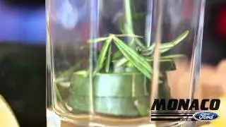 Monaco Ford Presents: The Cucumber Rosemary Mocktini