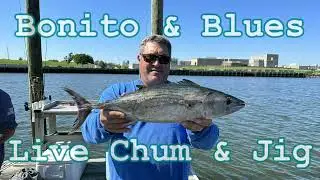 Bonito & Blues on Live Chum & Jigs