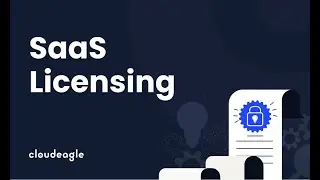 What Is SaaS Licensing? A Beginner&rsquo;s Guide to Software License Management