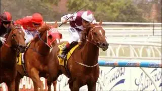 VOBIS Horse of the Year - Trust In A Gust