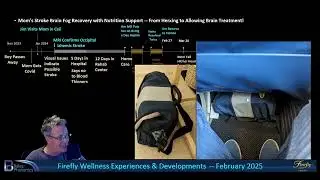 Firefly Wellness: Mom's Stroke Brain Fog Recovery with Nutrition Support by Jim Nicholson