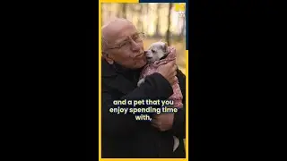 How pets can help older adults manage chronic pain | Michigan Public Health