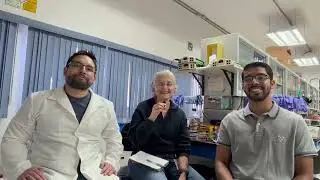 Microorganismos pat&oacute;genos cambian constantemente para sobrevivir a nuestras defensas y tratamientos.