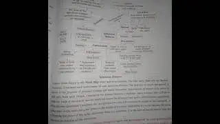 Writing skills.  prepare  a paragraph  on mind mapping  e.g.