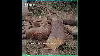 Logical Indian (2018) - Aarey Forest Controversy Rs 30000 Crore Land Scam
