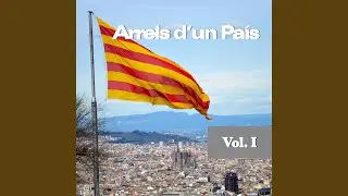 Virolai