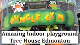 Amazing Indoor playground for children/ Tree house Edmonton