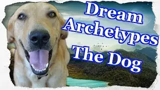 Dream Archetypes - The Dog