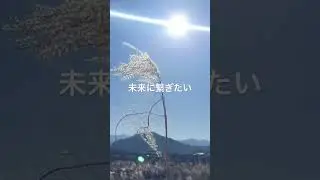 脱プラブランド　会津　自然エネルギーで製造　植物由来　生分解性　堆肥化可能　OEM  地球再生の合図　サトウキビなプラスチック　IZ-EARTH   脱炭素化 #shorts