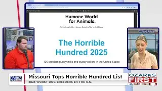 Missouri tops Horrible Hundred list of worst dog breeders in the U.S.