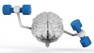 How Food Affects Our Brain || Paras Nikhanj || DAILY KNOWLEDGE