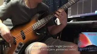Port of entry #jacopastorius #basssolo cover