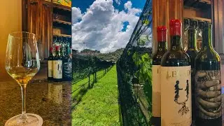 EL VIÑEDO de la sierra Tarahumara en Cerocahui
