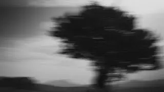 Sandy path - Tongue drum music and sounds of nature / музыка глюкофона и звуки природы