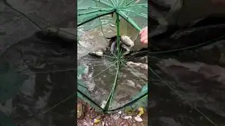 portable fishing net #coolgadgets #fishingnet #shorts