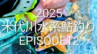 2025 米代川水系鮎釣り EPISODE12