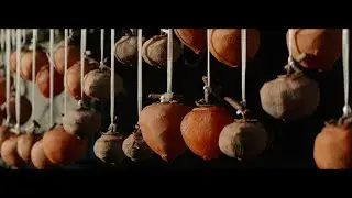 ISCO Ultra Star Anamorphic - Tokina AT-X 90mm - LUMIX GH6