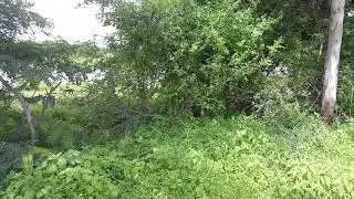Siddipet Real estate