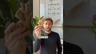 It&rsquo;s easy to grow your own Ginger at home 🌿💚 Follow this tutorial #gardening #garden #growyourown
