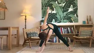 Vinyasa Yoga Detox