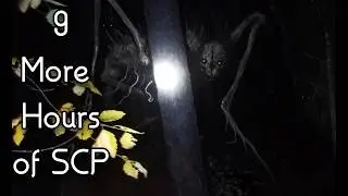9 More Hours of Exploring SCPs to Fall Asleep To