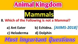 Animal Kingdom MCQs : Mammals : Most Important Questions for NEET 2023 -biology mcqs
