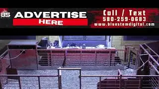 Benton County Sale Barn &ndash; Feeder & Cow Auction LIVE | Northwest Arkansas | Dec 18
