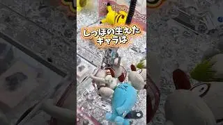 【UFOキャッチャー必勝法✨】このドーブル絶対アイアンテール覚えとる #ポケモン #ポケットモンスター  #short #shorts #pokemon #クレーンゲーム #ufoキャッチャー