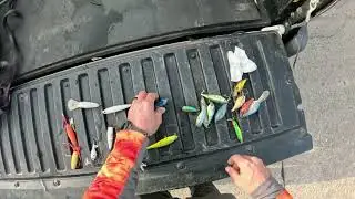 Found a bunch of fishing lures and a largemouth.