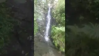 Panja Gali Oghi Manshera
