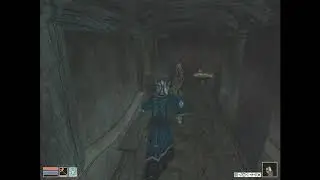 Morrowind: Unsanctioned Training