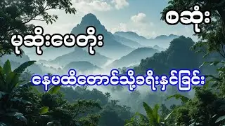 မုဆိုးကြီးပေတိုး နှင့် နေမထိတောင်သို့ခရီးနှင်ခြင်း - စဆုံး