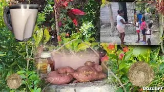 Bakeing  sweet potato  pudding  and   make   ginger 🫚  beer. Juice