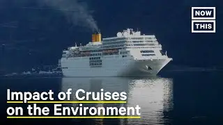 Why Cruise Ships Are Terrible For The Environment | NowThis Earth