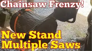 Chainsaw Frenzy!  Testing Our New Cookie Cutting Station!  Sawsquach 2023!