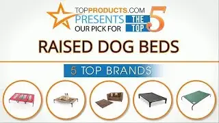 Best Raised Dog Bed Reviews &ndash; How to Choose the Best Raised Dog Bed
