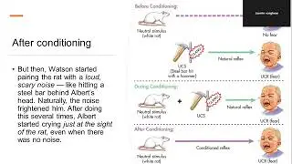 Little Albert experience by Watson -conditioning -behavioural theory 